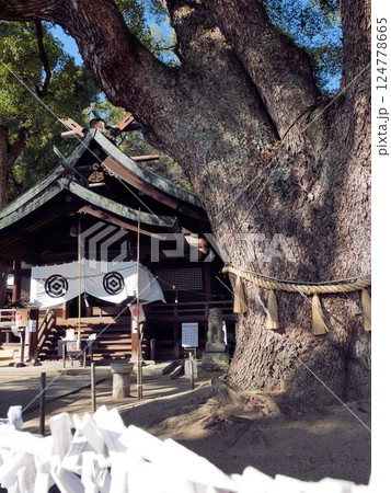 艮神社の境内と神木　（広島県尾道市） 124778665