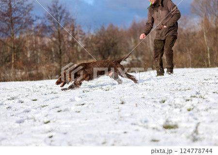 Brown Spaniel running with trainer in snowy winter landscape Brown Spaniel running with trainer in snowy winter landscape 124778744