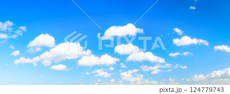 The sky with clouds as a background. Sky in the daytime. Panorama in large resolution. 124779743