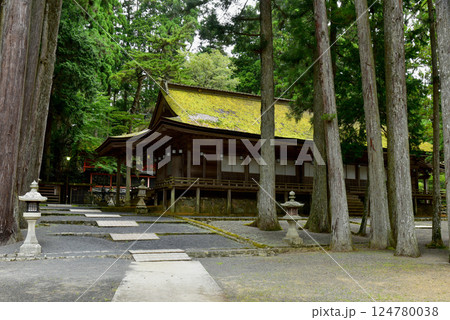 高野山 緑に覆われた御社と山王院 高野山 緑に覆われた御社と山王院 124780038