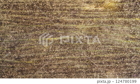 Wood Textured Background 124780199