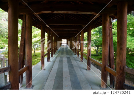 東福寺の通天橋を歩く 124780241