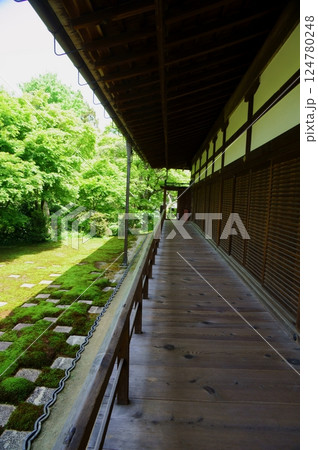 新緑の美しい東福寺庭園 124780248