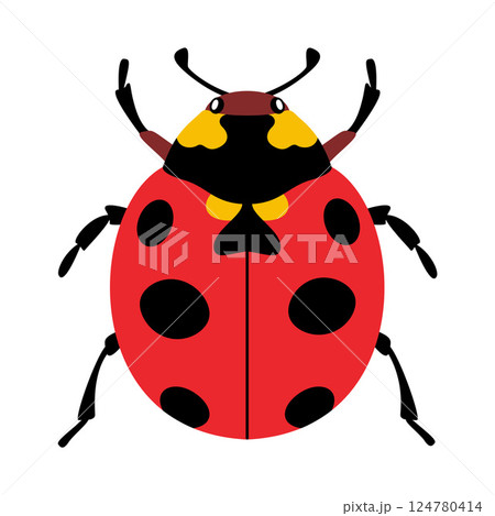 Stylized ladybug beetle with a unique and colorful design. Hand drawn trendy flat style. Stylized ladybug beetle with a unique and colorful design. Hand drawn trendy flat style. 124780414