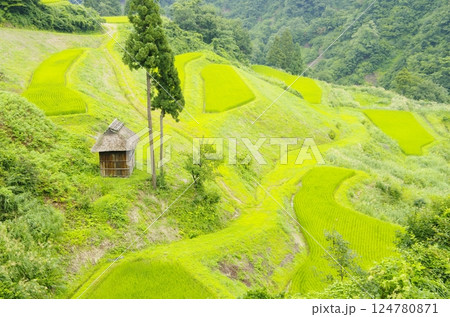 十日町市松之山・留守原の棚田 十日町市松之山・留守原の棚田 124780871