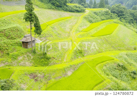 十日町市松之山・留守原の棚田 十日町市松之山・留守原の棚田 124780872