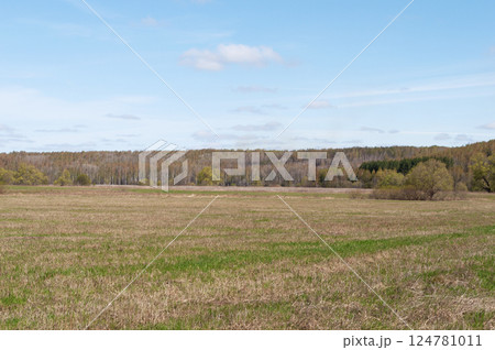 Country landscape with mown meadow 124781011