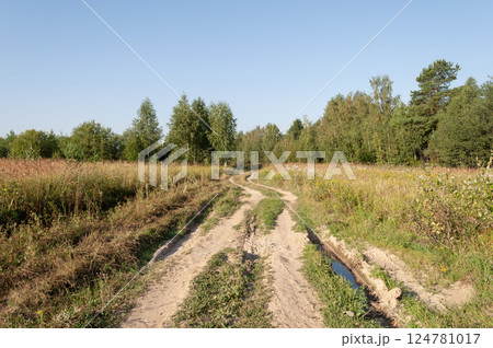 Dirt road to the forest Dirt road to the forest 124781017