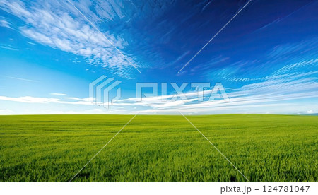 《AI画像》広大な草原と真っ青な空 124781047