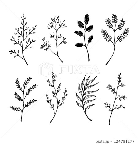 A collection of hand-drawn botanical elements with intricate floral details. Suitable for digital art, fabric prints, greeting cards, and branding. 124781177