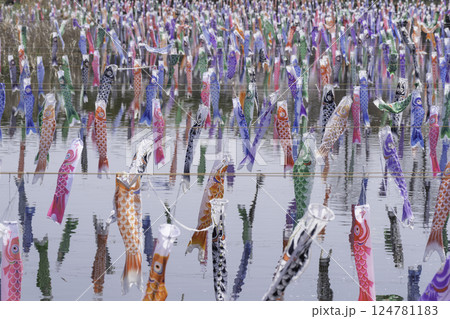 川に泳ぐ沢山の鯉のぼり　館林市鶴生田川 124781183