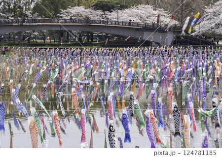 川に泳ぐ沢山の鯉のぼり 館林市鶴生田川 川に泳ぐ沢山の鯉のぼり 館林市鶴生田川 124781185