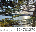 松の間から見える松島 124781270