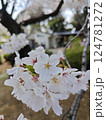 桜のある風景 124781272