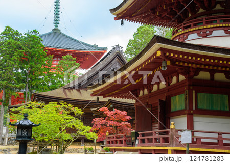 高野山 壇上伽藍 東塔、大会堂、根本大塔 高野山 壇上伽藍 東塔、大会堂、根本大塔 124781283