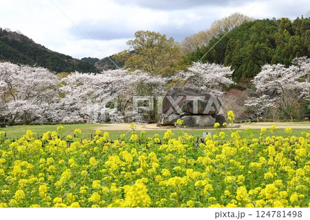 【石舞台古墳 ／ 奈良県明日香村】 124781498