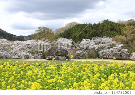 【石舞台古墳 / 奈良県明日香村】 【石舞台古墳 / 奈良県明日香村】 124781505
