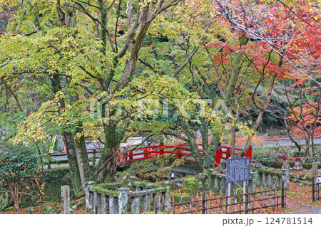 大寧寺の紅葉 124781514