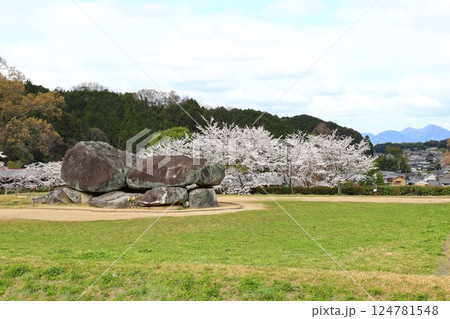 【石舞台古墳 / 奈良県明日香村】 【石舞台古墳 / 奈良県明日香村】 124781548