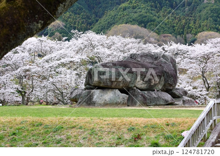 【石舞台古墳 / 奈良県明日香村】 【石舞台古墳 / 奈良県明日香村】 124781720