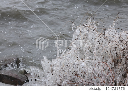 琵琶湖としぶき氷 124781776