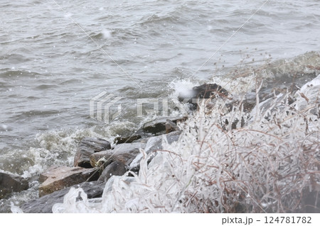 琵琶湖としぶき氷 124781782