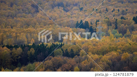 Metal poles of a power line in the middle of a yellow-green autumn forest. 124781879