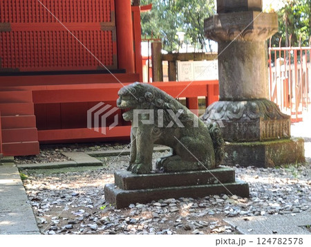 仙波東照宮狛犬 124782578