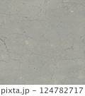 Seamless Gray Concrete Texture with Fine Cracks and Dots 124782717