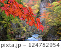 川と紅葉 124782954