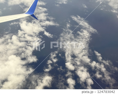 飛行機から見るグアム付近の海 飛行機から見るグアム付近の海 124783042