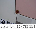 看板に張り付くてんとう虫 124783114