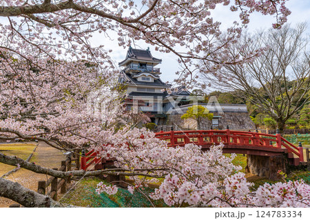 小山城　桜　静岡県吉田町 124783334