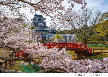 小山城　桜　静岡県吉田町 124783335