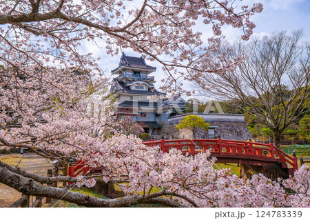 小山城 桜 静岡県吉田町 小山城 桜 静岡県吉田町 124783339