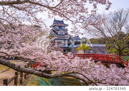 小山城 桜 静岡県吉田町 小山城 桜 静岡県吉田町 124783340