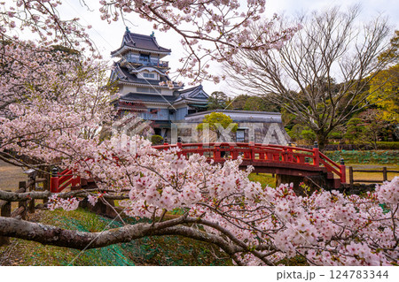 小山城　桜　静岡県吉田町 124783344