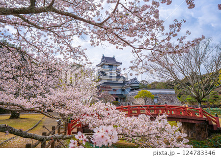 小山城　桜　静岡県吉田町 124783346