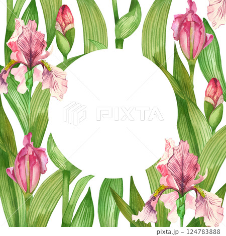 Round watercolor frame of pink iris flowers, blossoming flowers, pink buds, green leaves, all objects are hand painted with watercolor. For printing on postcards, invitations to weddings, celebrations Round watercolor frame of pink iris flowers, blossoming flowers, pink buds, green leaves, all objects are hand painted with watercolor. For printing on postcards, invitations to weddings, celebrations 124783888