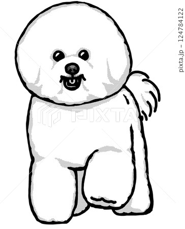 ビションフリーゼ　白黒　背景透過　犬のイラスト 124784122