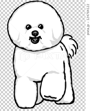 ビションフリーゼ　白黒　背景透過　犬のイラスト 124784122