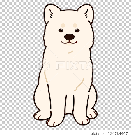 A simple and cute illustration of a white Akita dog sitting facing forward with main lines 124784467