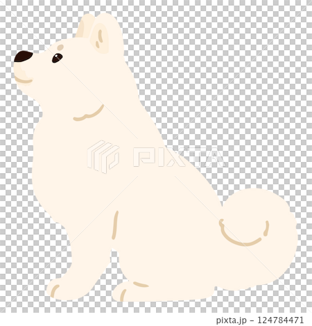 A simple and cute horizontal illustration of a white Akita dog without main lines 124784471