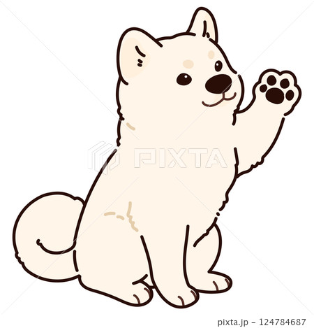 お手をするシンプルで可愛い白い秋田犬のイラスト 主線あり お手をするシンプルで可愛い白い秋田犬のイラスト 主線あり 124784687