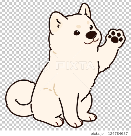 一隻白色秋田犬伸出爪子的簡單可愛插圖（帶主線） 124784687