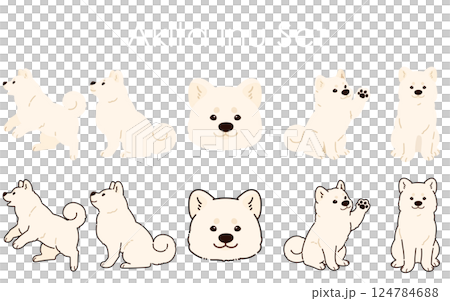 Simple and cute white Akita dog illustration set Simple and cute white Akita dog illustration set 124784688