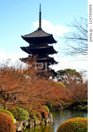 京都府　東寺・五重塔（国宝） 京都市 南区 九条町　2022年2月 124784809