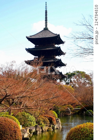 京都府 東寺・五重塔(国宝) 京都市 南区 九条町 2022年2月 京都府 東寺・五重塔(国宝) 京都市 南区 九条町 2022年2月 124784810