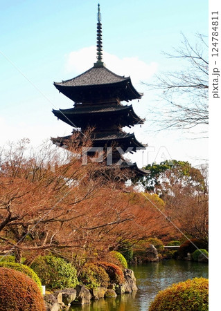 京都府　東寺・五重塔（国宝） 京都市 南区 九条町　2022年2月 124784811