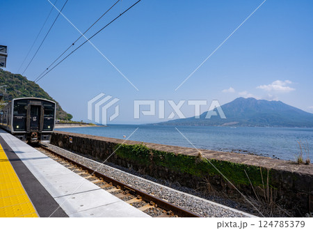仙巌園駅の電車と桜島 124785379